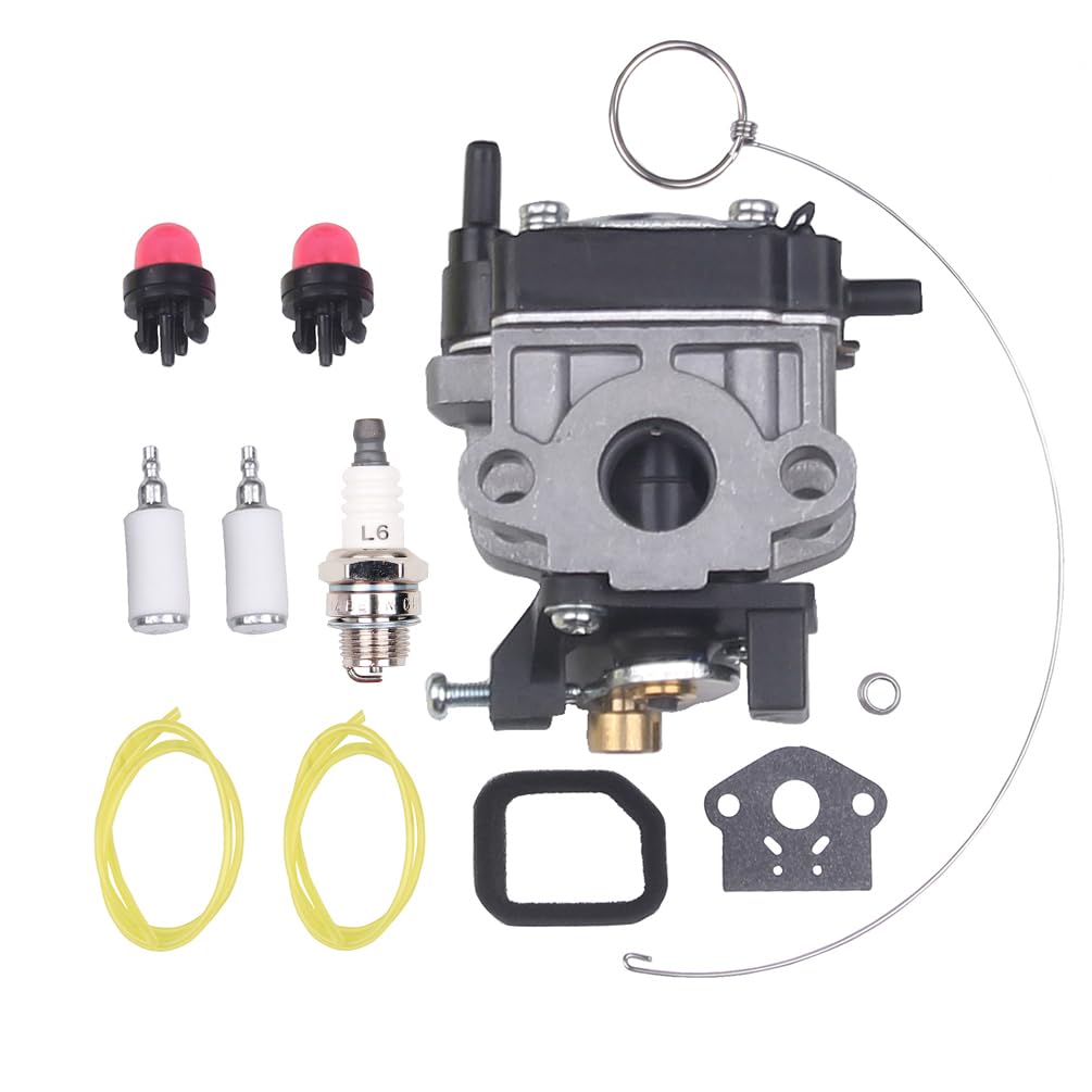 Goodbest carburetor air filter kit for RB24 EAP blower—reliable filtration and fit
