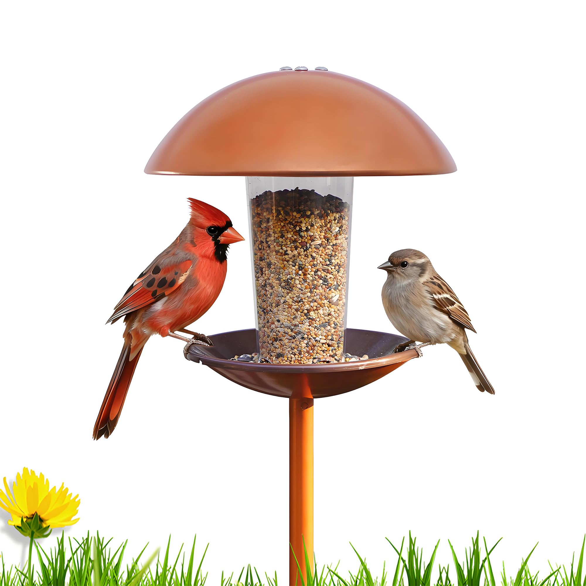 Goodeco bird feeder round design for durable year-round backyard viewing.
