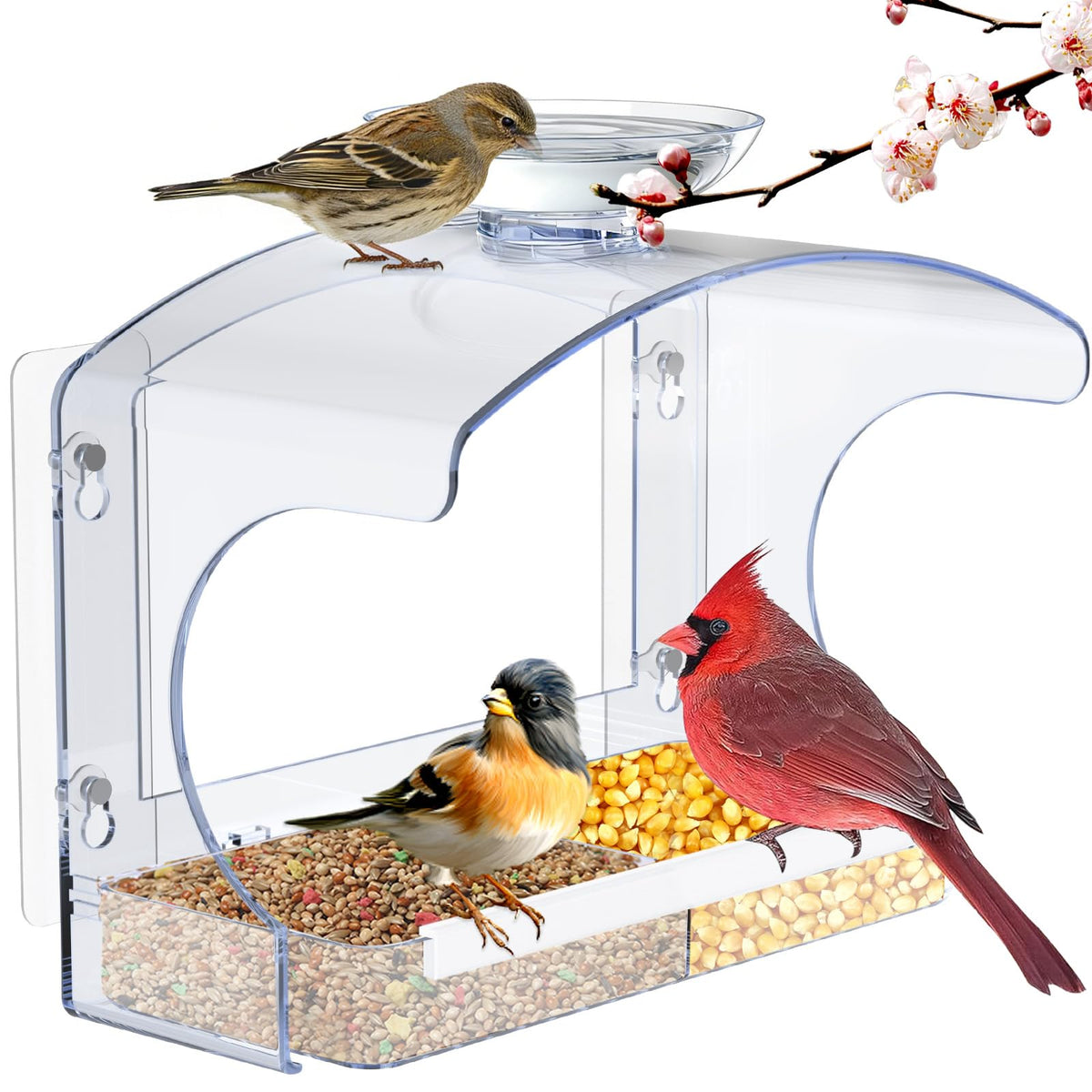 Goodeco clear window bird feeder front view for close observation of visiting birds.