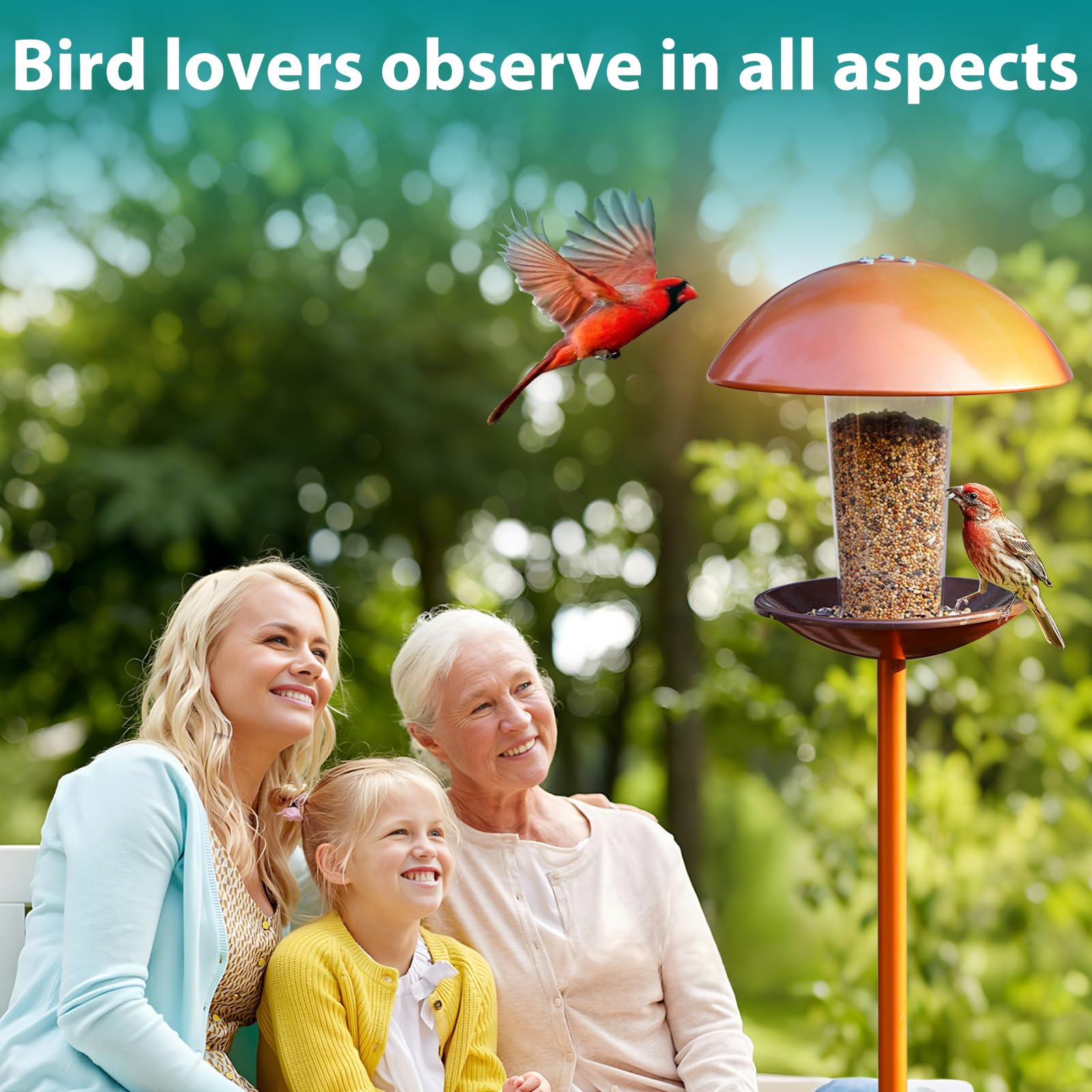 Goodeco attracts wild small birds, adding color to your yard.