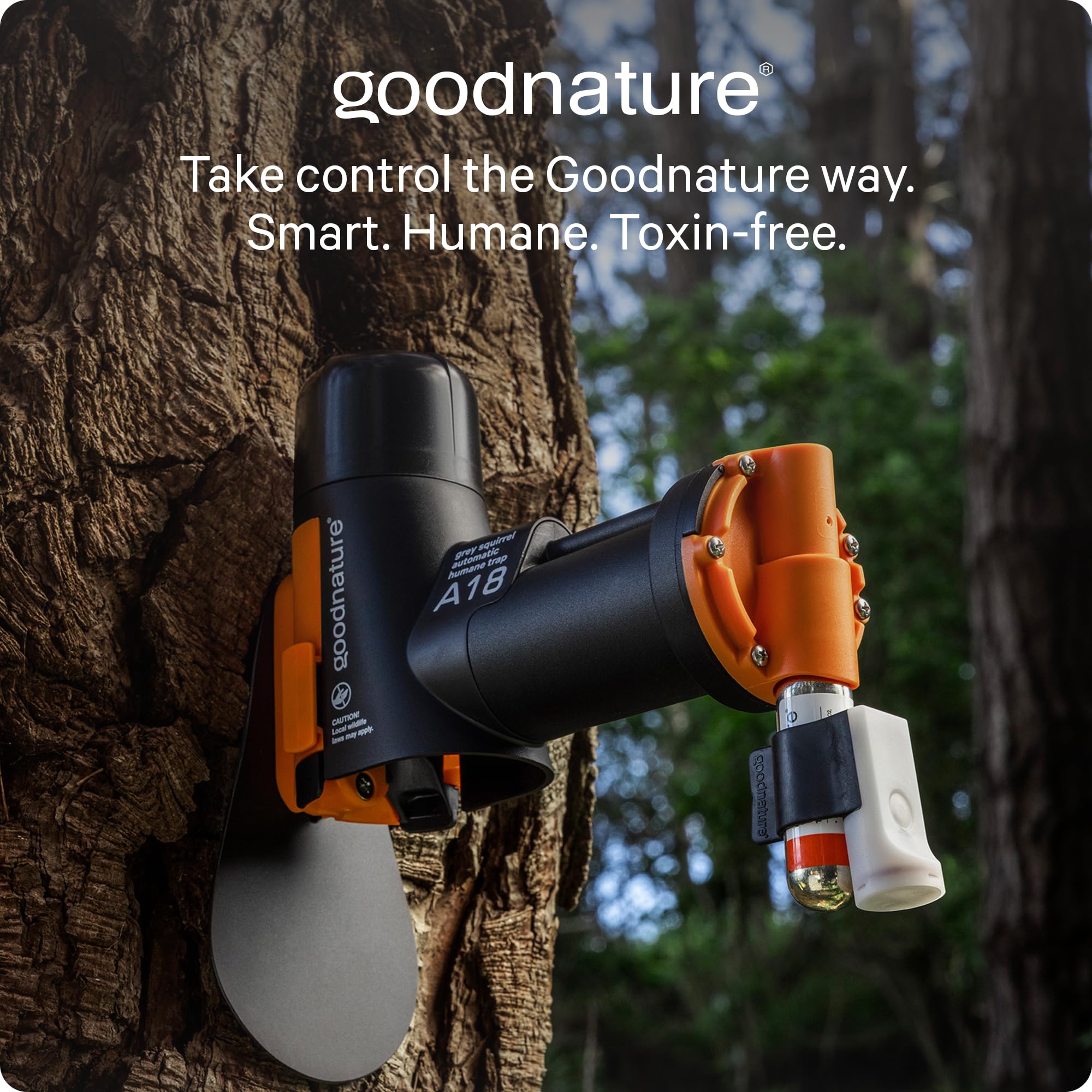 Goodnature A18 grey squirrel trap outdoors in park or yard installation