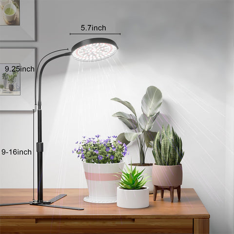 GooingTop gooseneck desk light allows precise lighting angles for rooted cuttings.