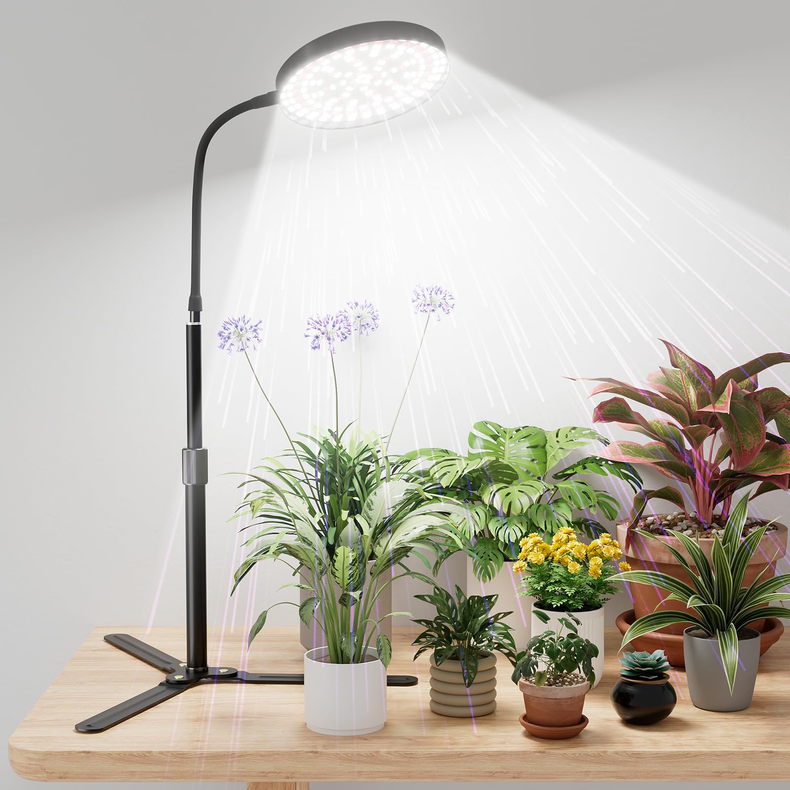 GooingTop grow light delivers full-spectrum 6000K illumination for healthy indoor plants.