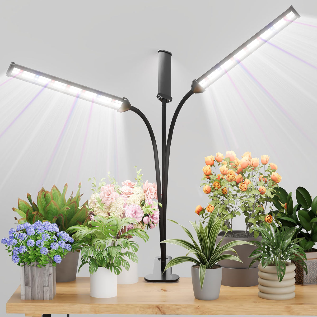 GooingTop grow light with gooseneck clip-on setup for versatile plant lighting.
