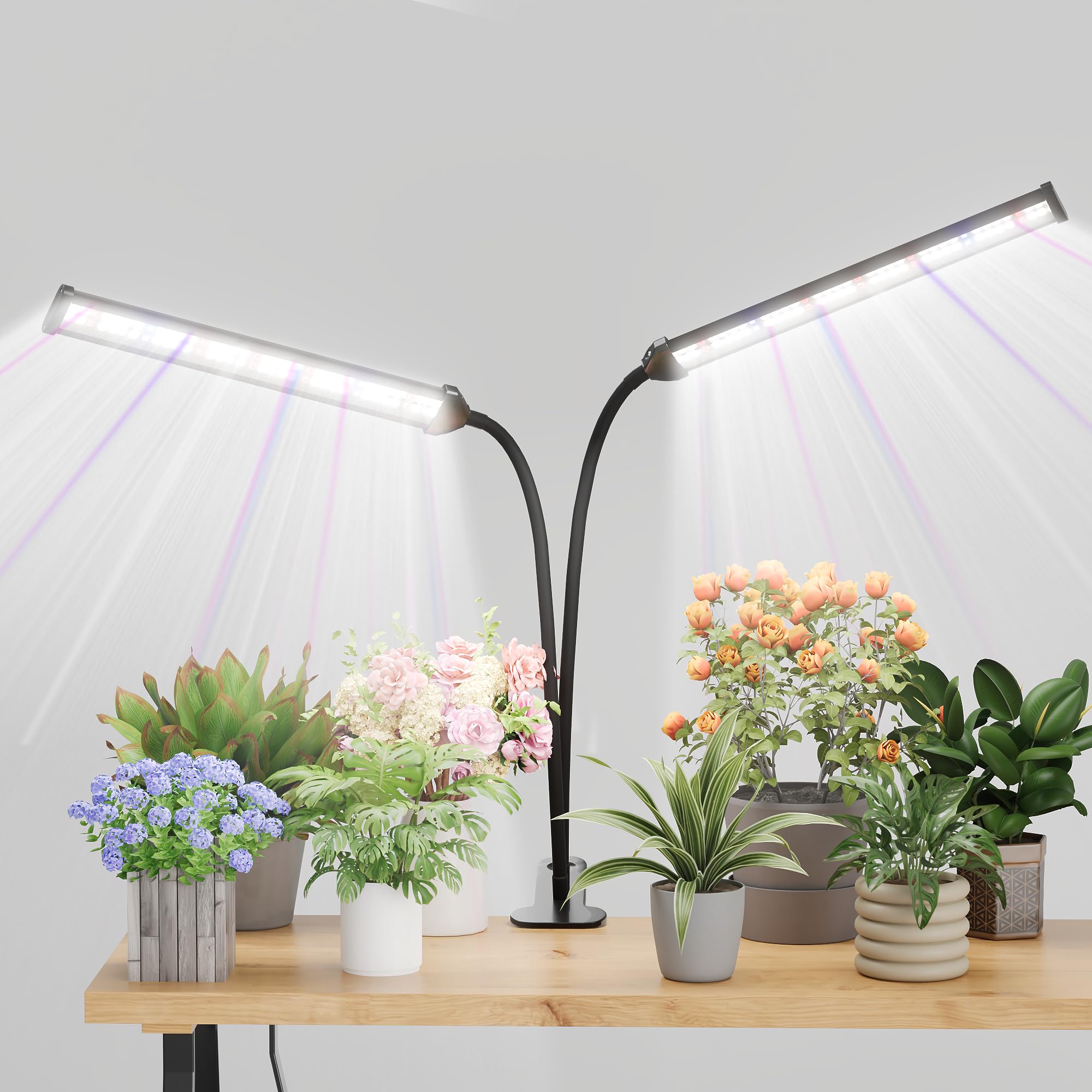 GooingTop grow light LED gooseneck lamp delivers full-spectrum illumination for thriving indoor seedlings.