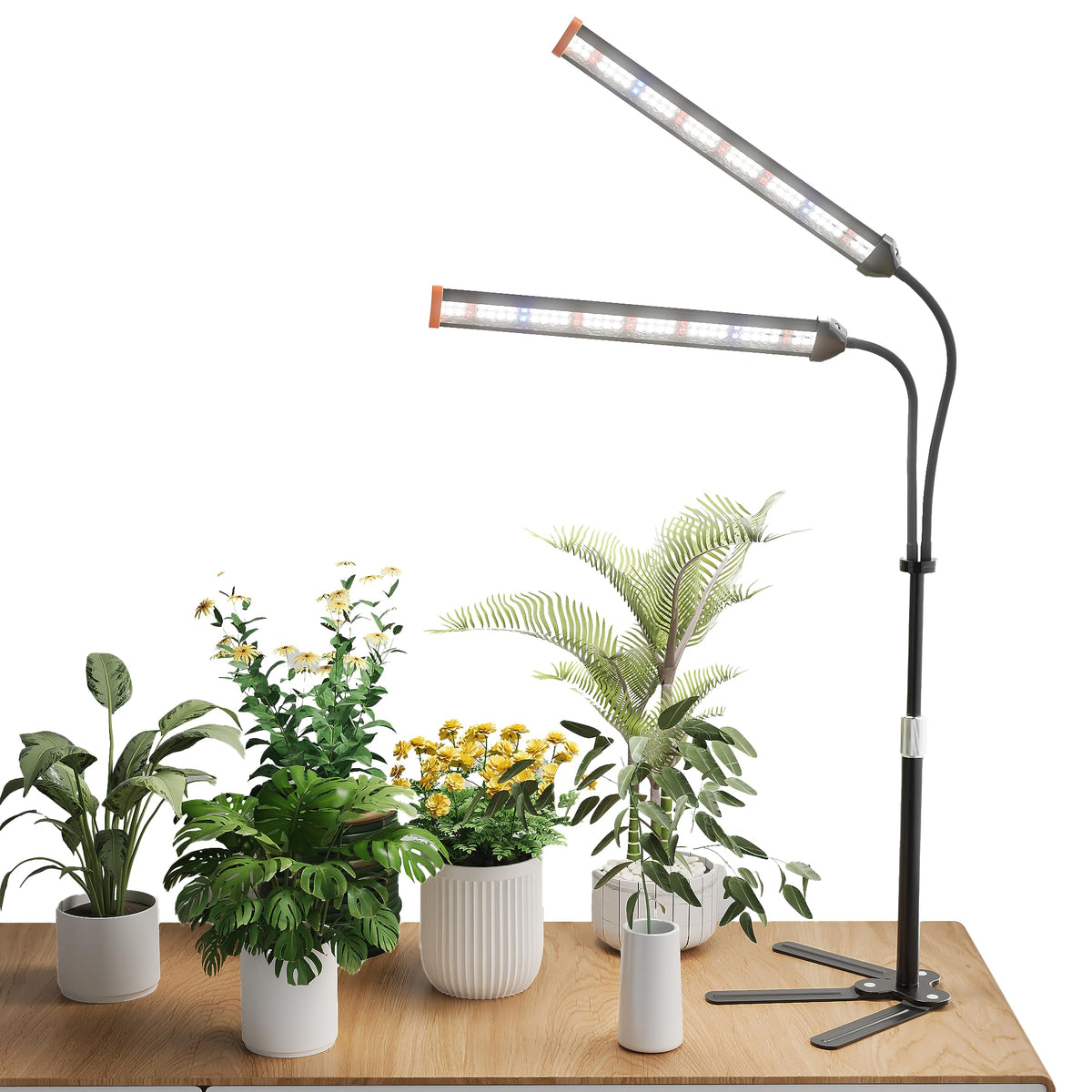 GooingTop grow light on a sturdy stand boosts indoor plant growth