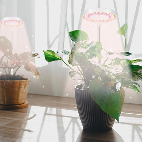 GooingTop halo ring plant light angle adjustment for precise lighting.