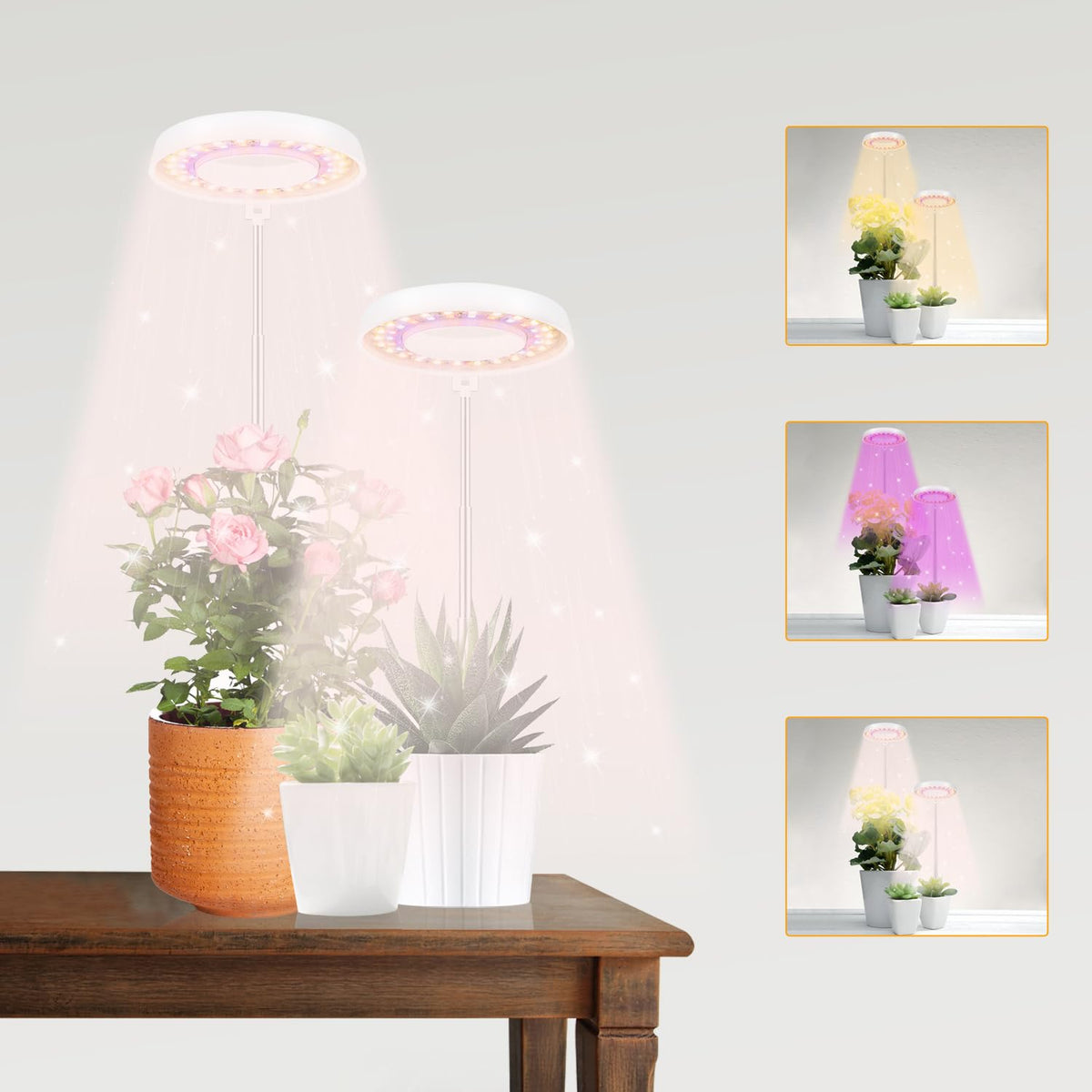 GooingTop LED grow light desktop full-spectrum illuminates indoor plants.