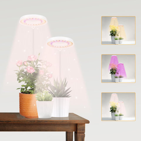 GooingTop LED grow light desktop full-spectrum illuminates indoor plants.