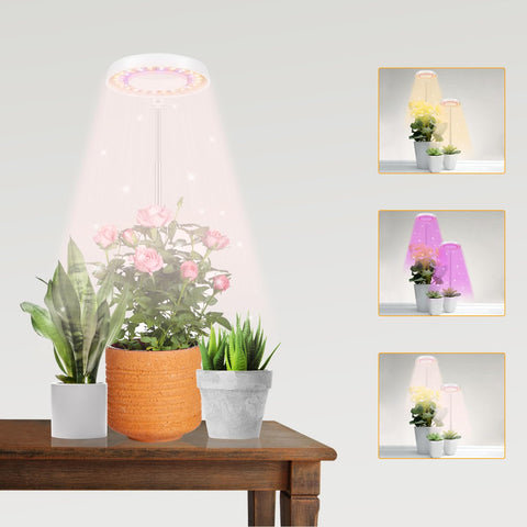 GooingTop LED grow light halo ring for compact indoor plants promotes focused illumination.
