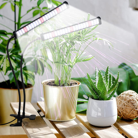 GooingTop LED seedling panel supports healthy early growth indoors.