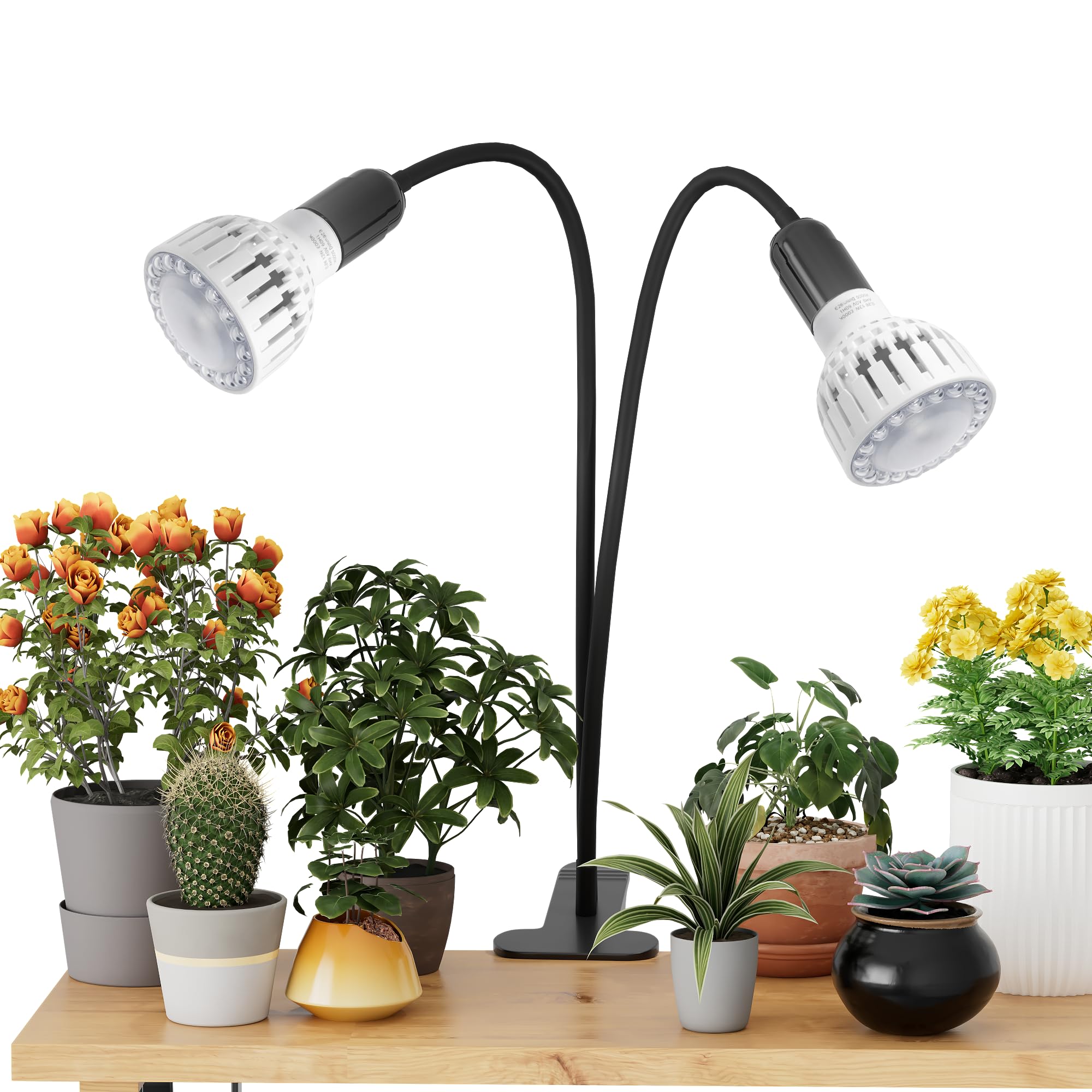 GooingTop clip-on desk lamp over a plant providing steady full-spectrum light for growth