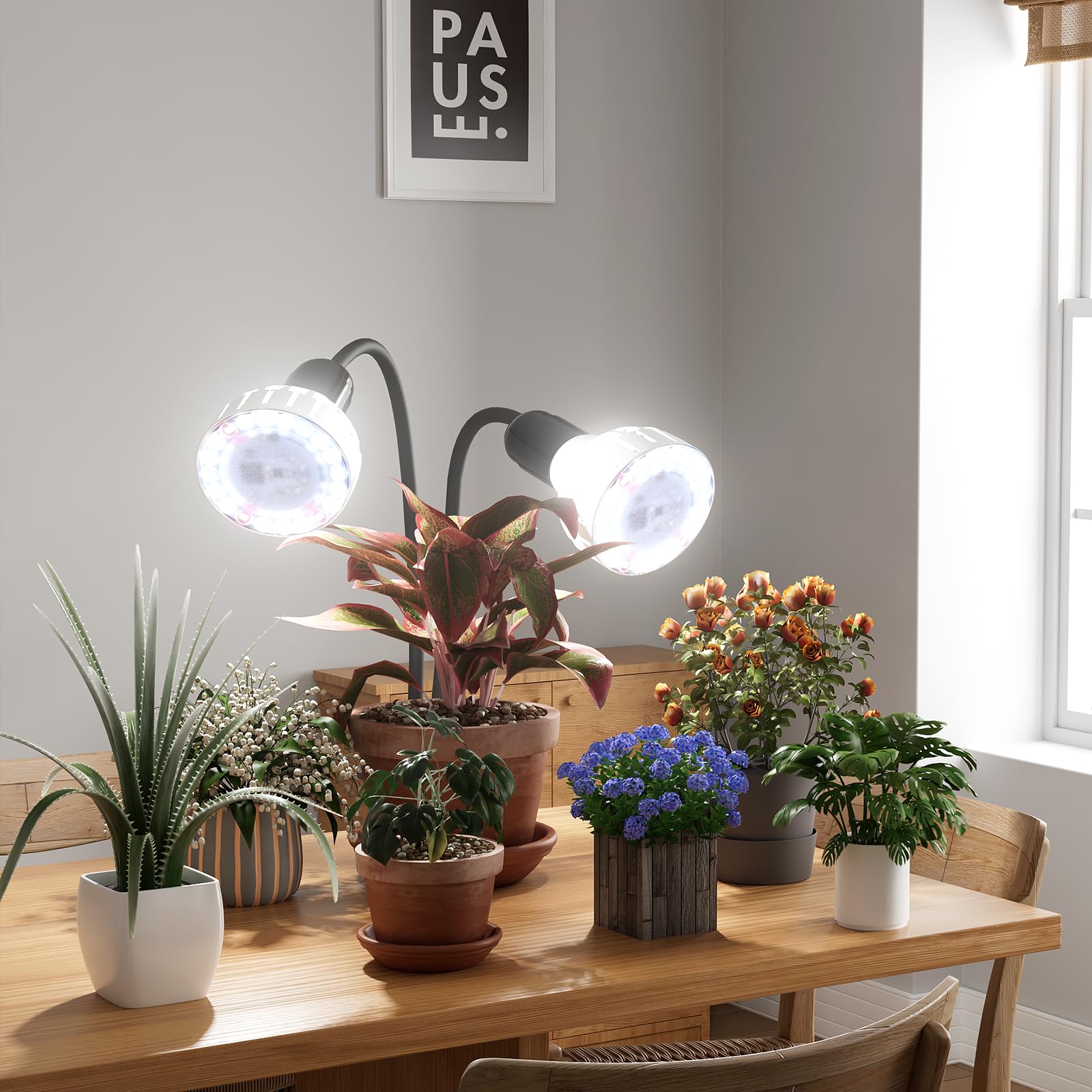 GooingTop full-spectrum LED emulates sunlight for healthy plant color and growth
