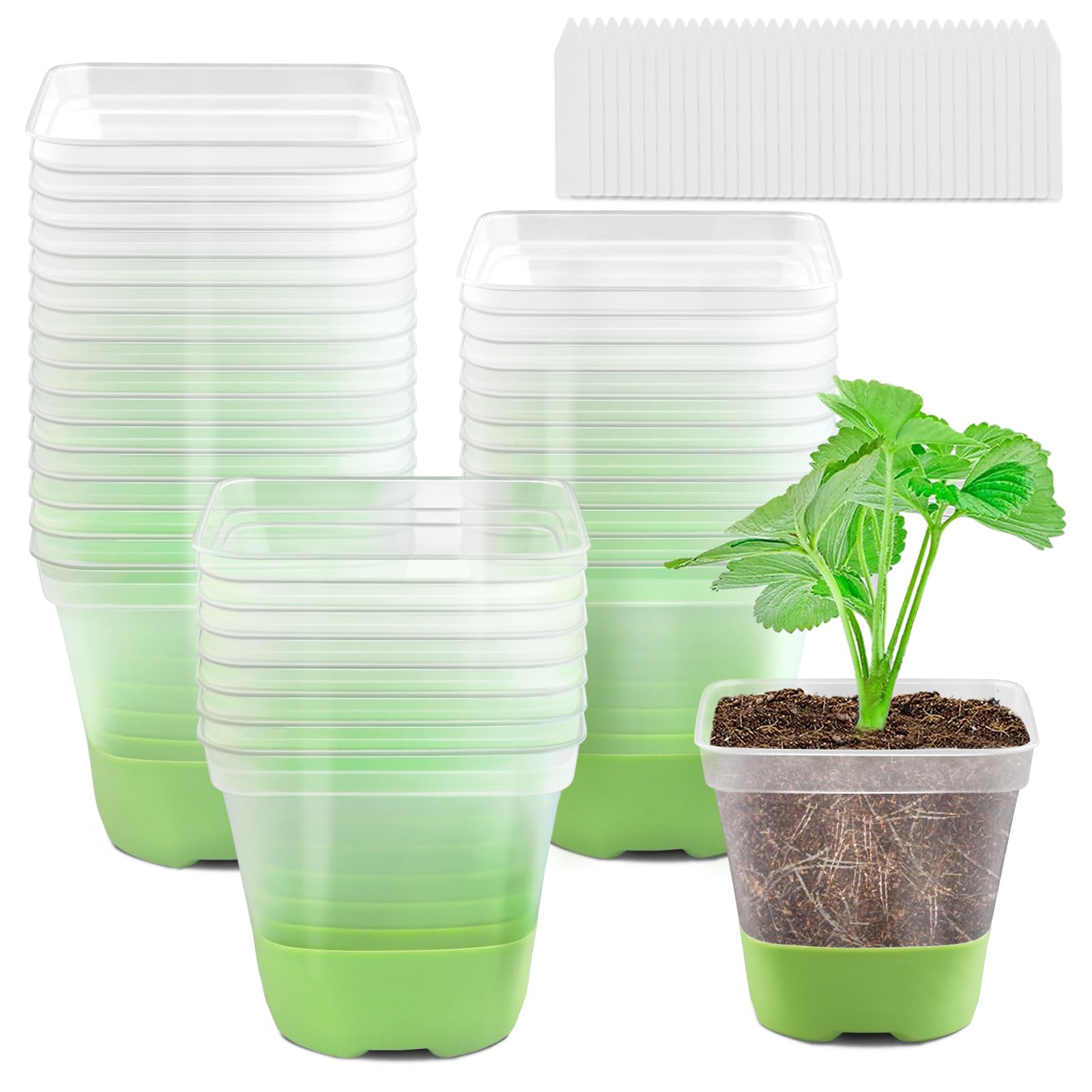 GOONMILL 36-pack 4-inch square pots with silicone base, easy root-friendly removal.
