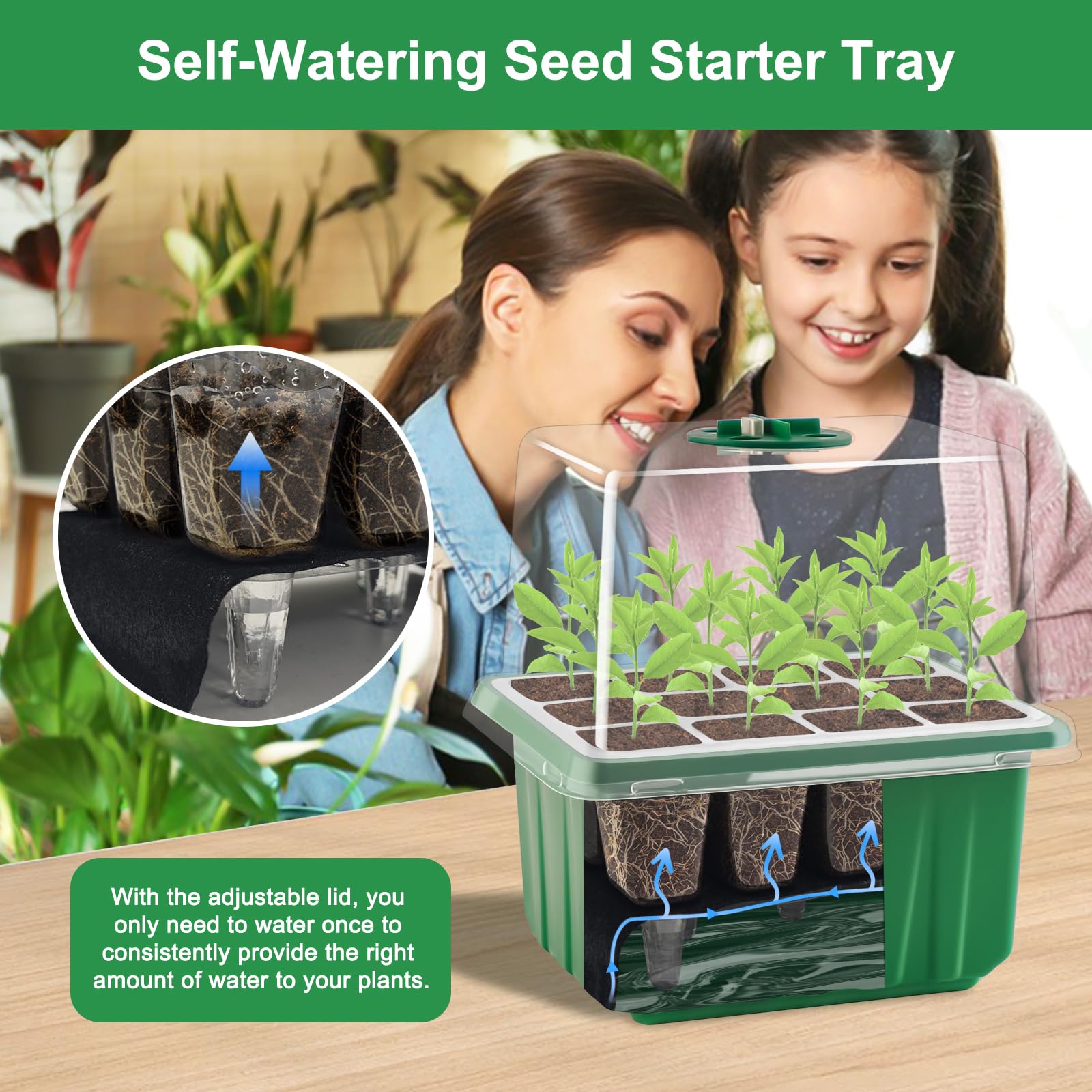 GOONMILL full-spectrum grow light supports seed germination and steady growth.