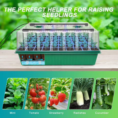 GOONMILL seed starter kit includes tools and labels for easy setup