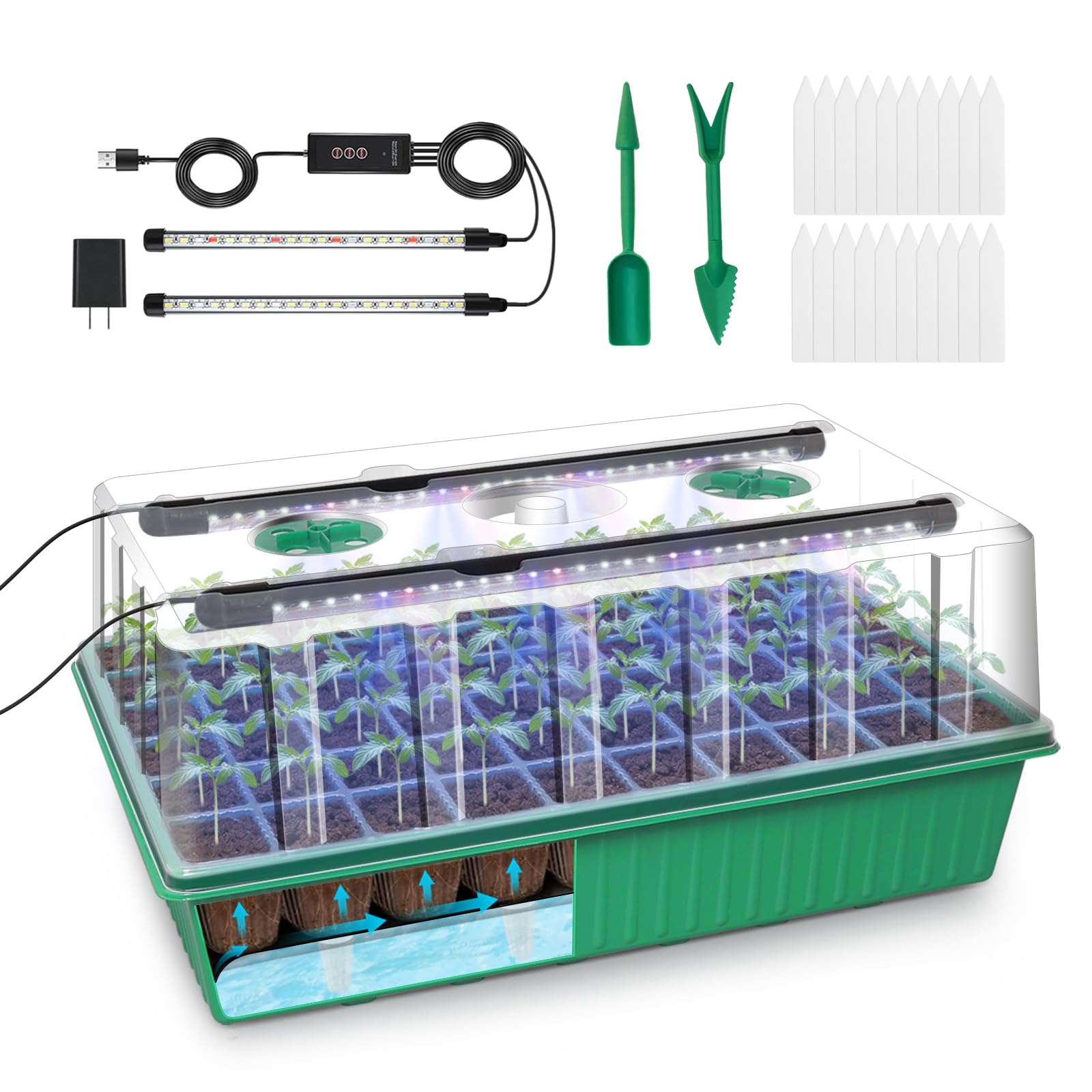GOONMILL self-watering seed tray with 60 cells for reliable germination