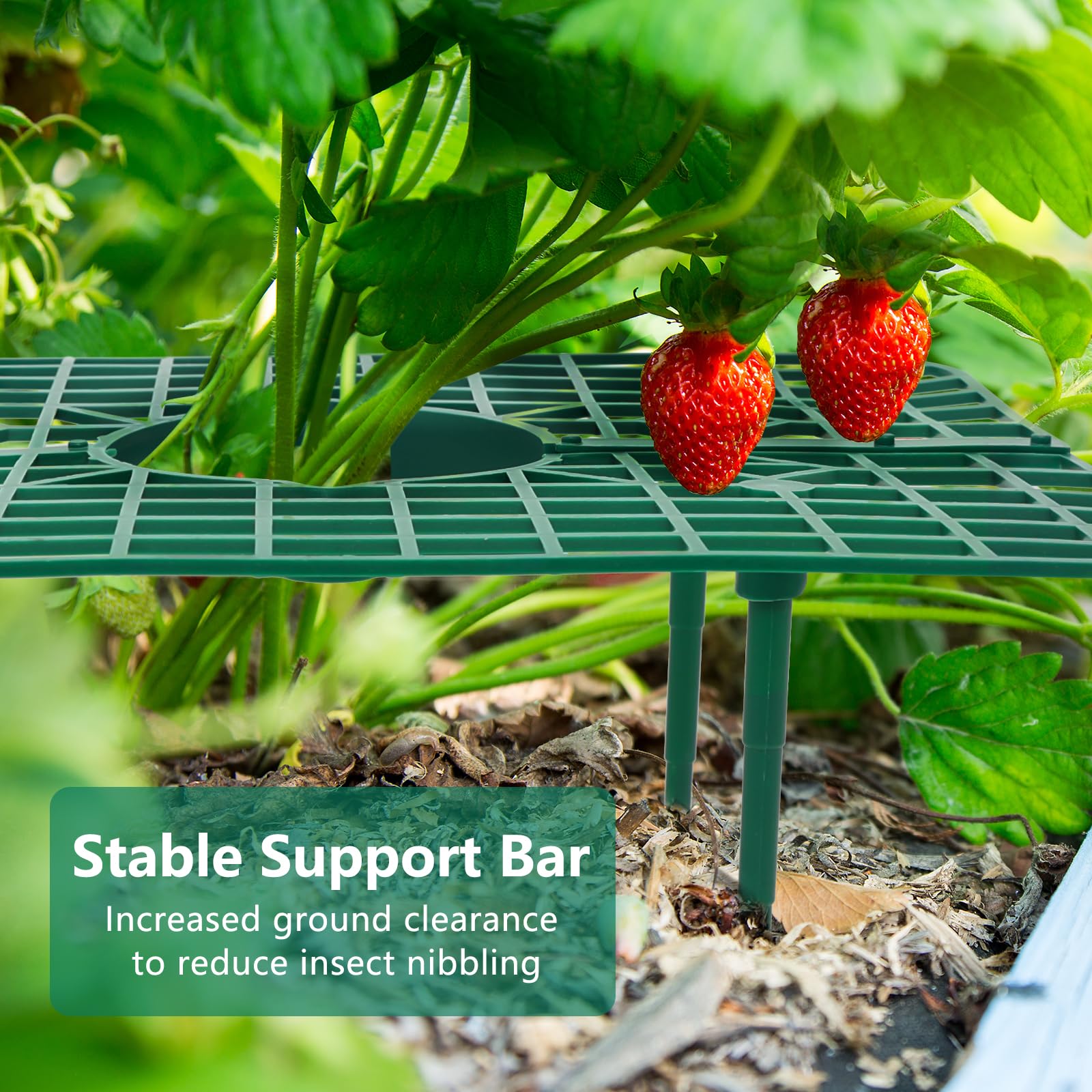GOONMILL strawberry plant support PP material is lightweight and storable.