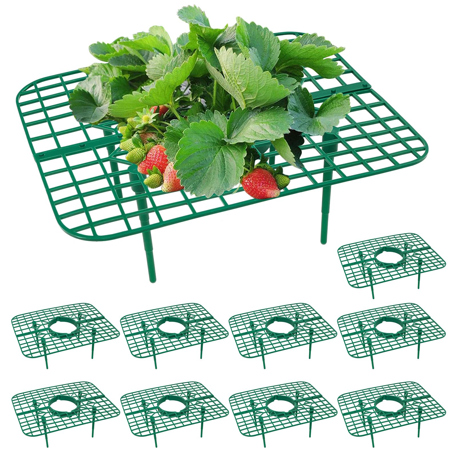 GOONMILL strawberry plant support stand assembled for stable growth.