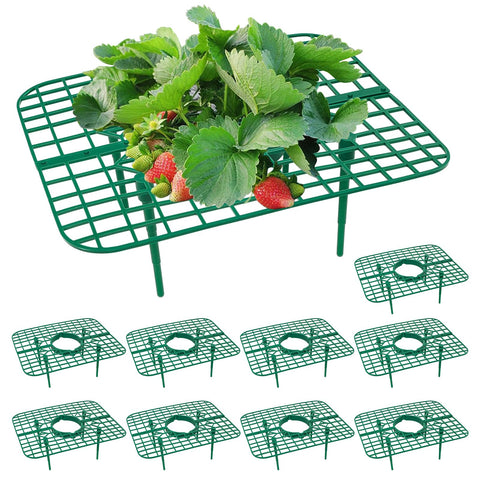 GOONMILL strawberry plant support stand assembled for stable growth.