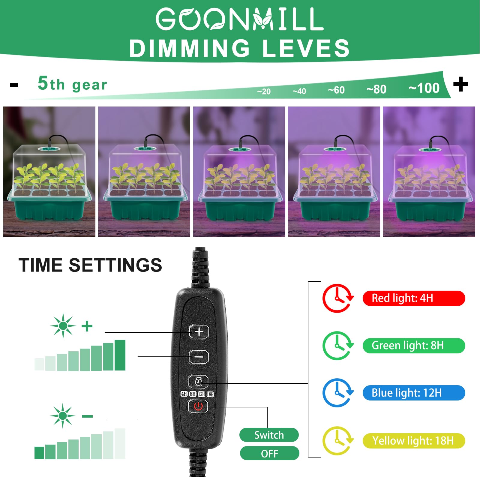 Goonmill tray with drainage holes prevents overwatering.