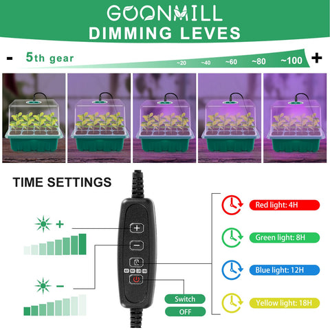 Goonmill tray with drainage holes prevents overwatering.