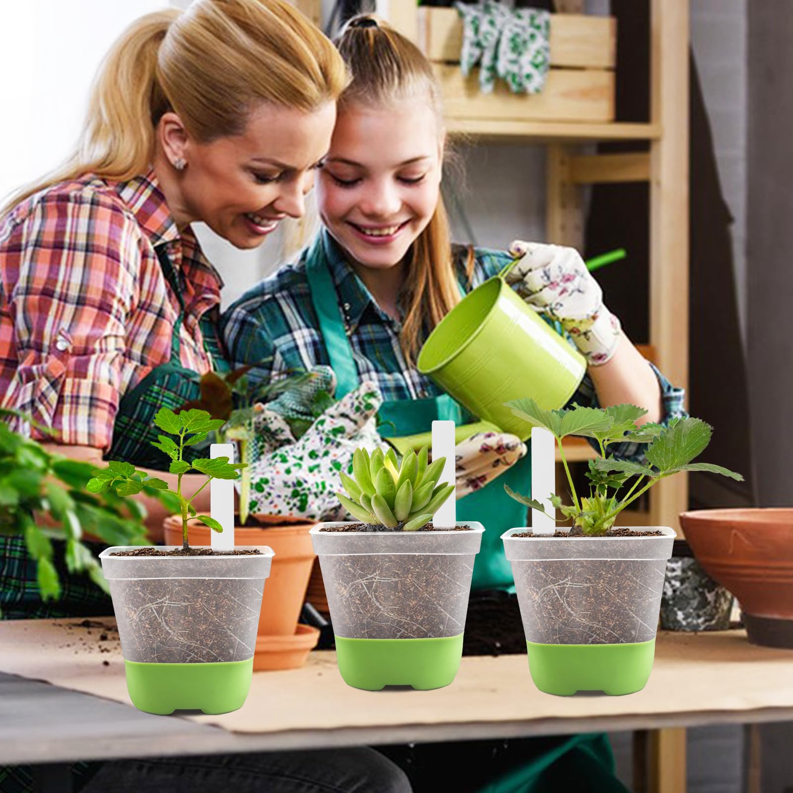 GOONMILL use-case: perfect for succulents, tomatoes, orchids, and herbs.