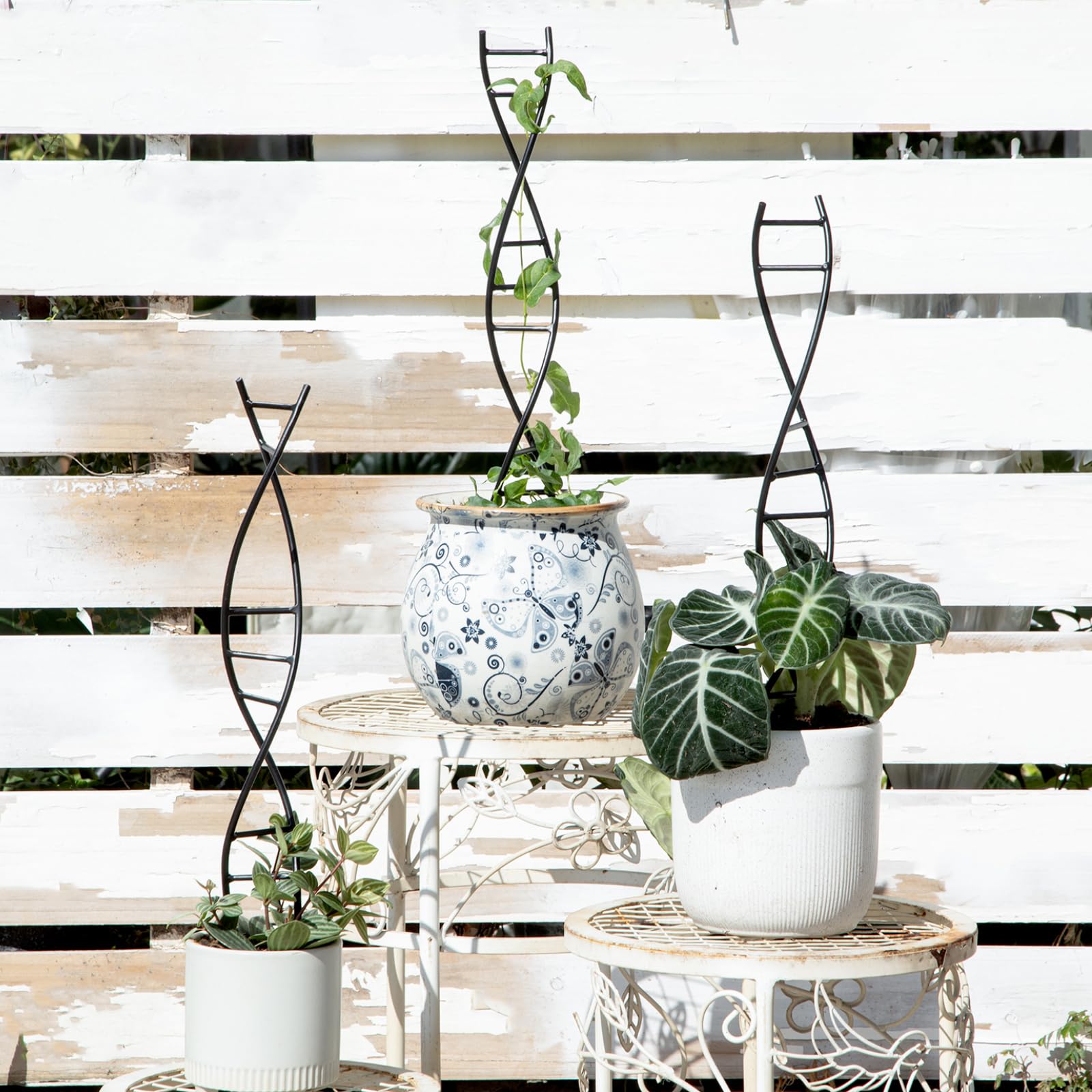 Goooxim DNA Spiral Trellis durable metal supports heavy vines
