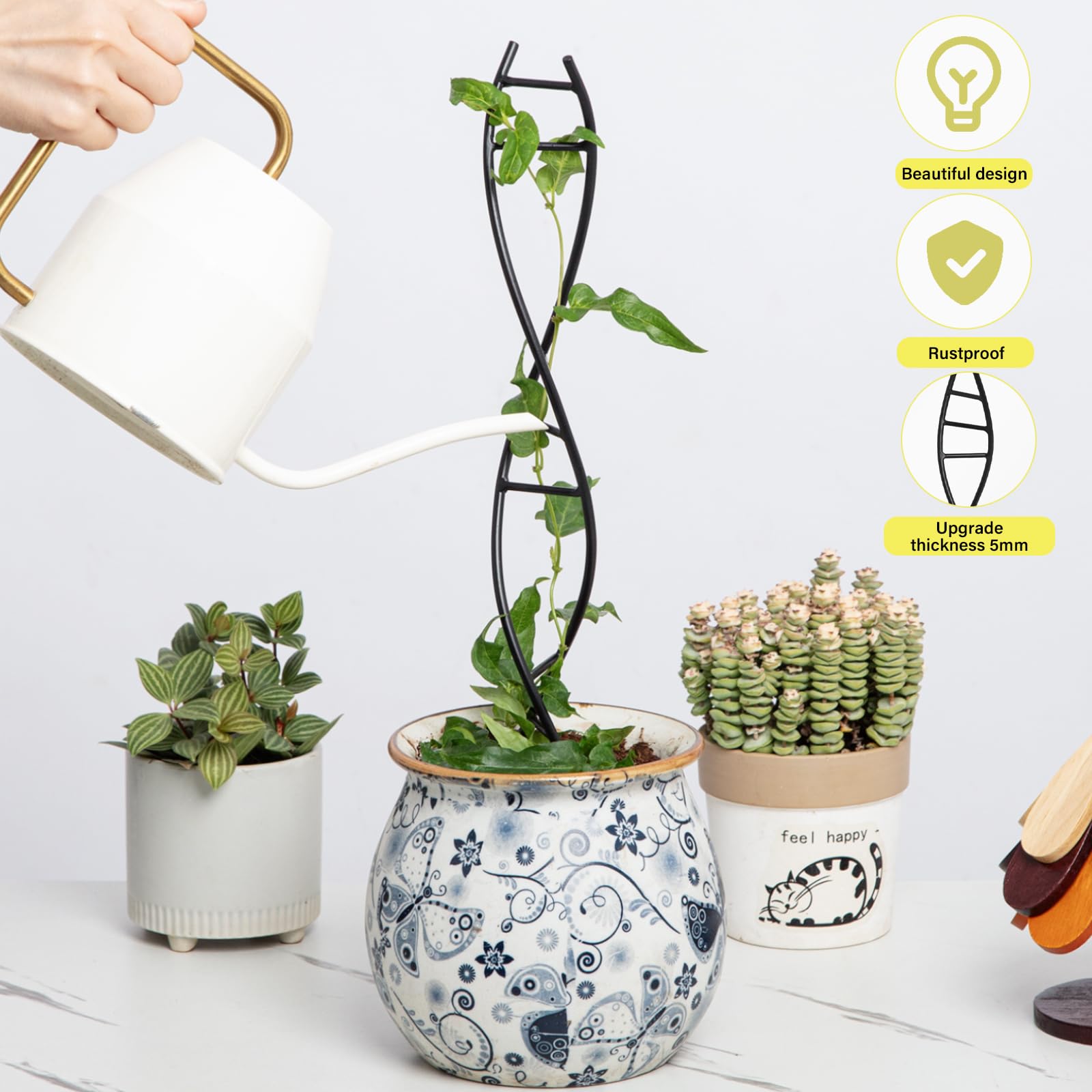 Goooxim DNA Spiral Trellis pot insertion enables quick setup