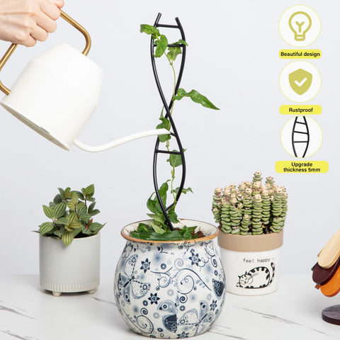 Goooxim DNA Spiral Trellis pot insertion enables quick setup