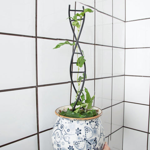 Goooxim DNA Spiral Trellis space-saving design frees floor space