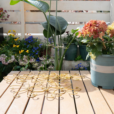 Five piece set keeps multiple plants upright and tidy
