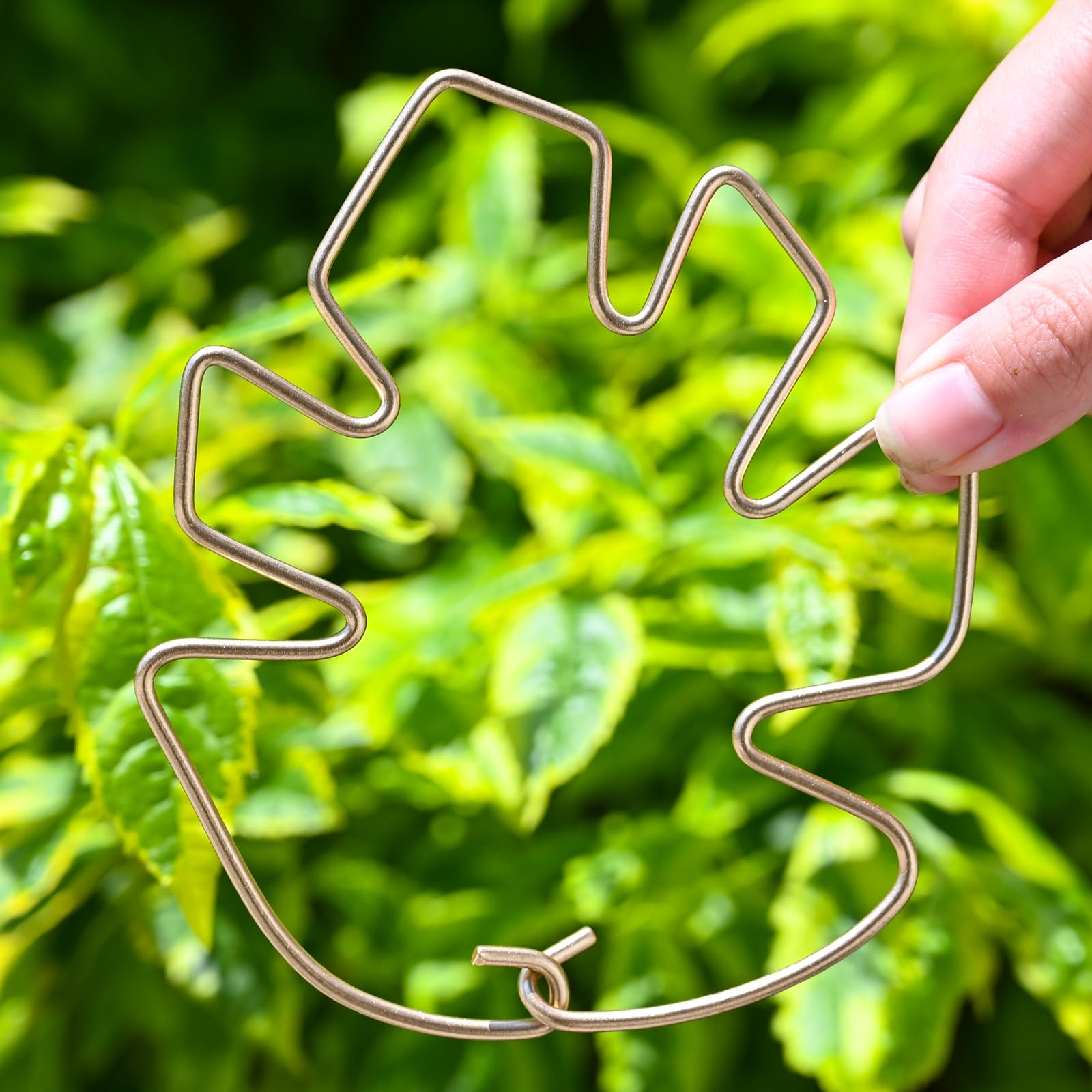 Goooxim gift for plant lovers adds a thoughtful upgrade to any collection