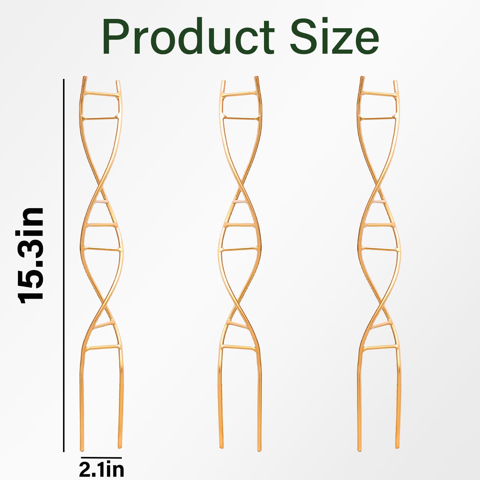 Goooxim indoor plant trellis iron provides sturdy support for pothos and philodendrons.