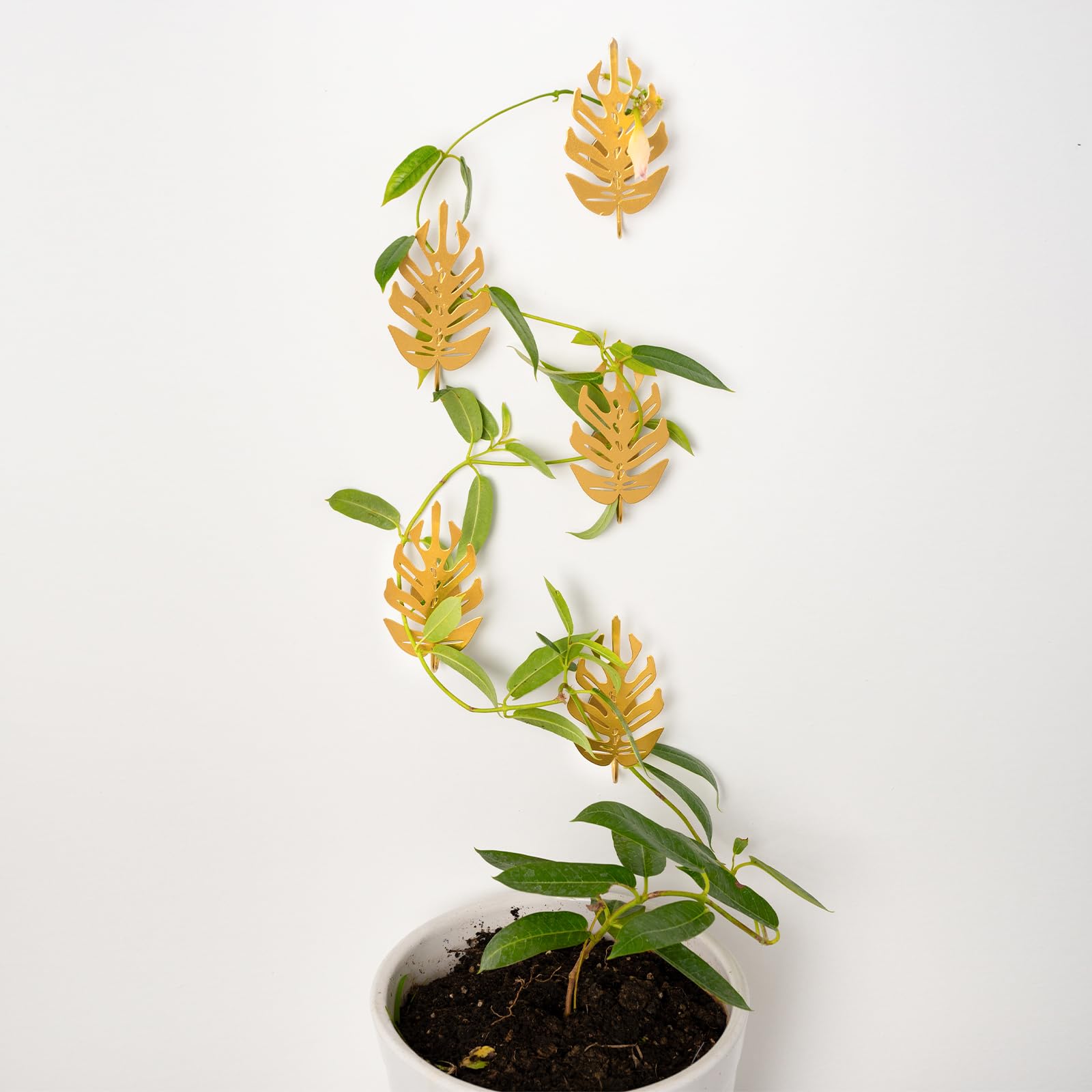Goooxim leaf-shaped plant hooks support vines for stylish indoor greenery.