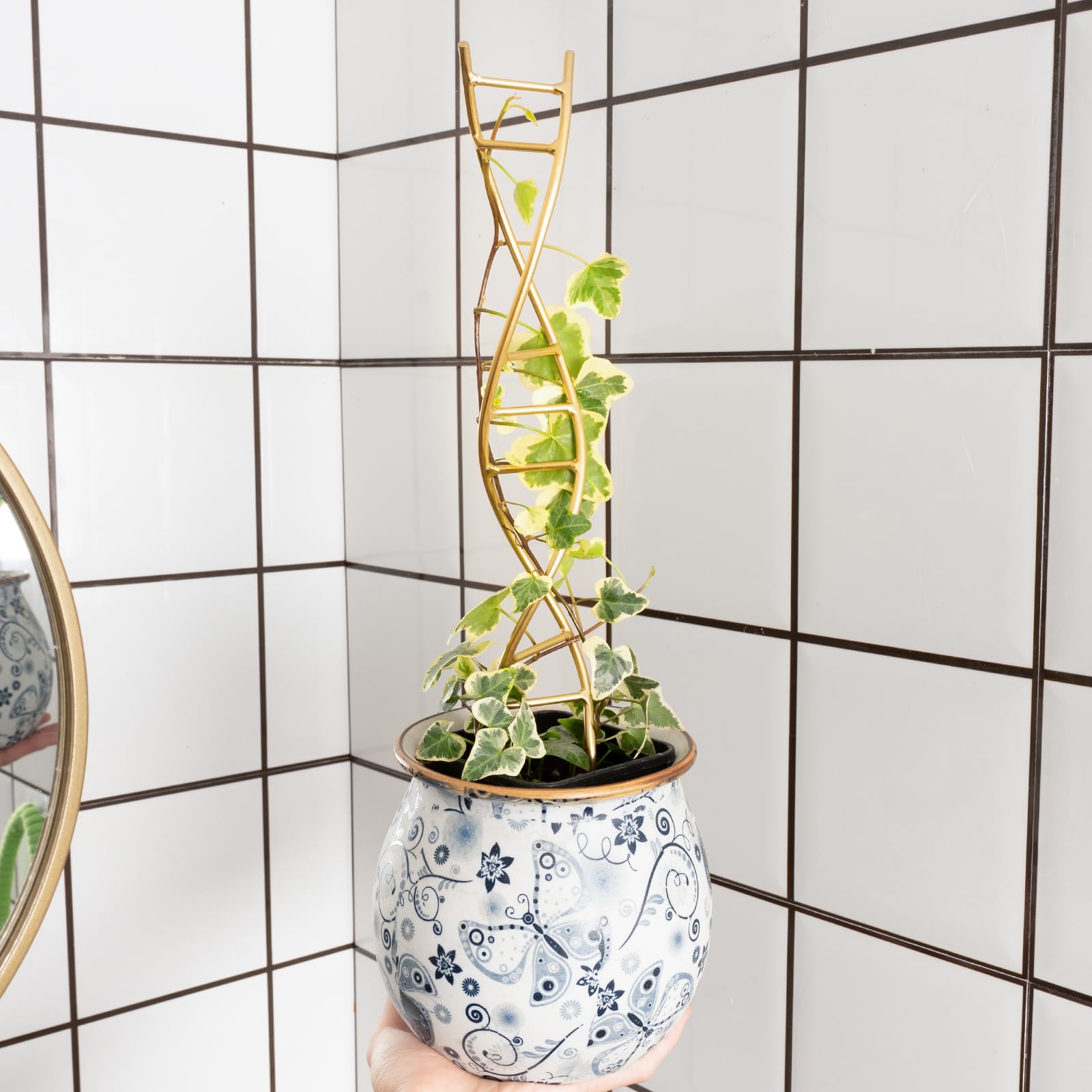 Goooxim matte finish iron trellis blends with decor while supporting plants.