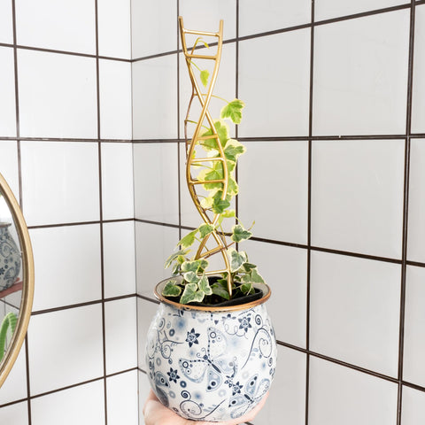 Goooxim matte finish iron trellis blends with decor while supporting plants.