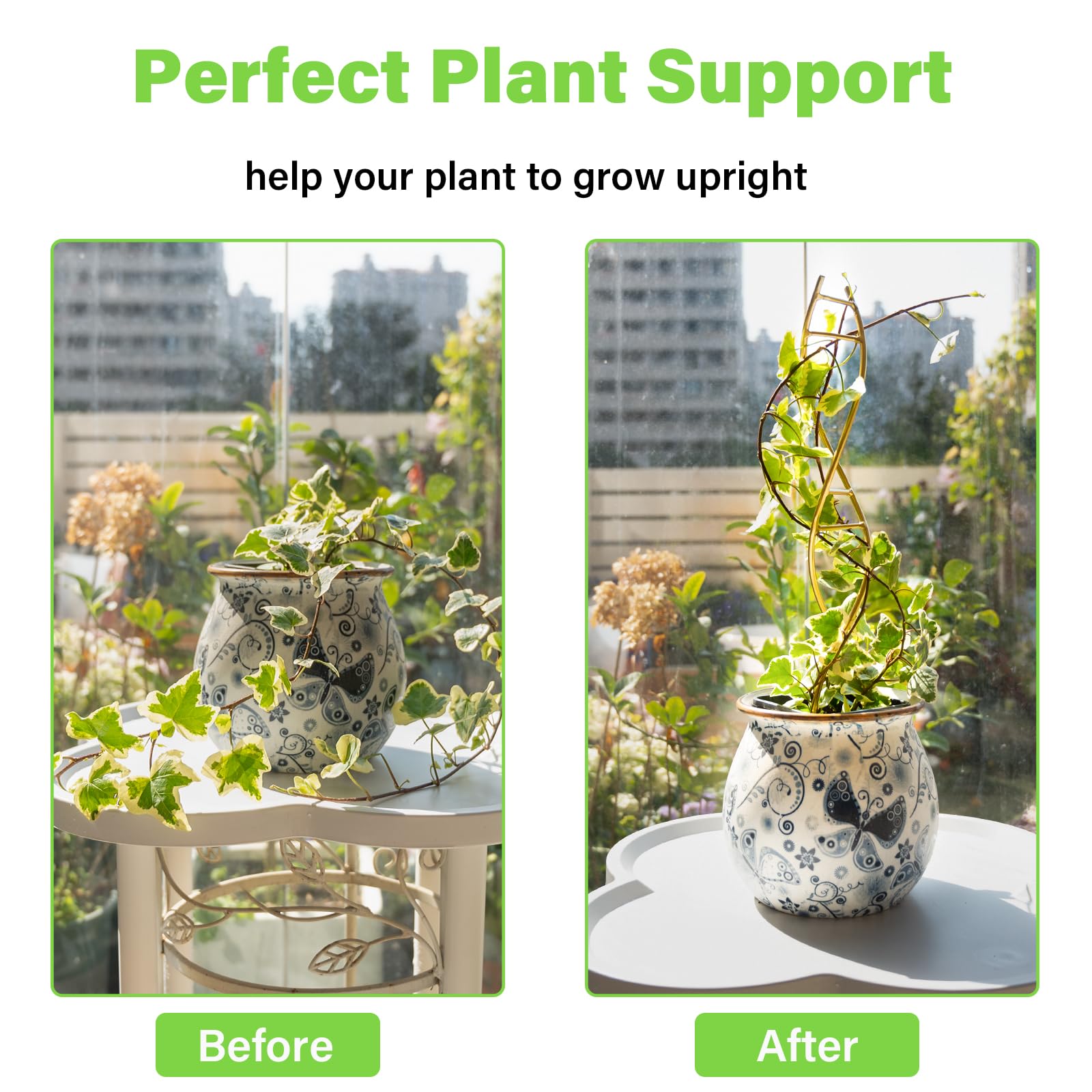 Goooxim metal climbing trellis plant support keeps vines organized and stylish.