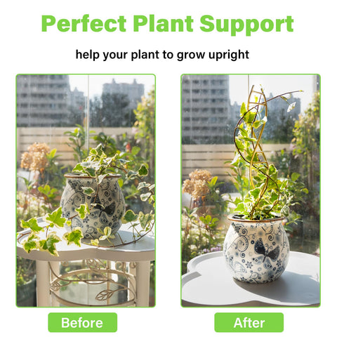 Goooxim metal climbing trellis plant support keeps vines organized and stylish.