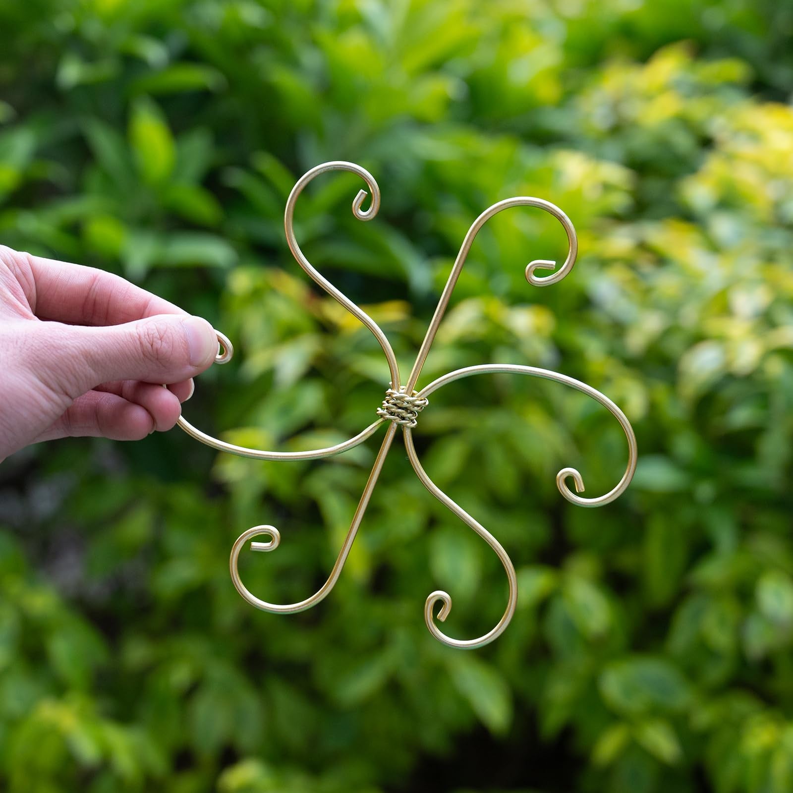 Goooxim clamps suit Monstera and fishbone cactus for climbing support