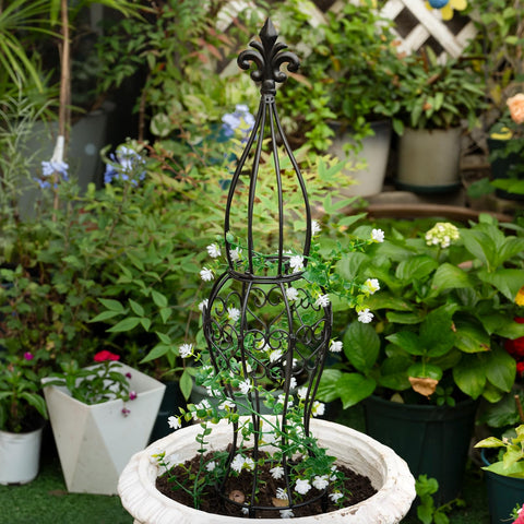 Goooxim Obelisk Trellis - ideal for vertical gardening of climbers and vines.