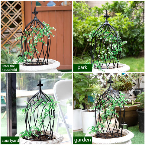GOOOXIM plant support for climbers keeps vines organized.