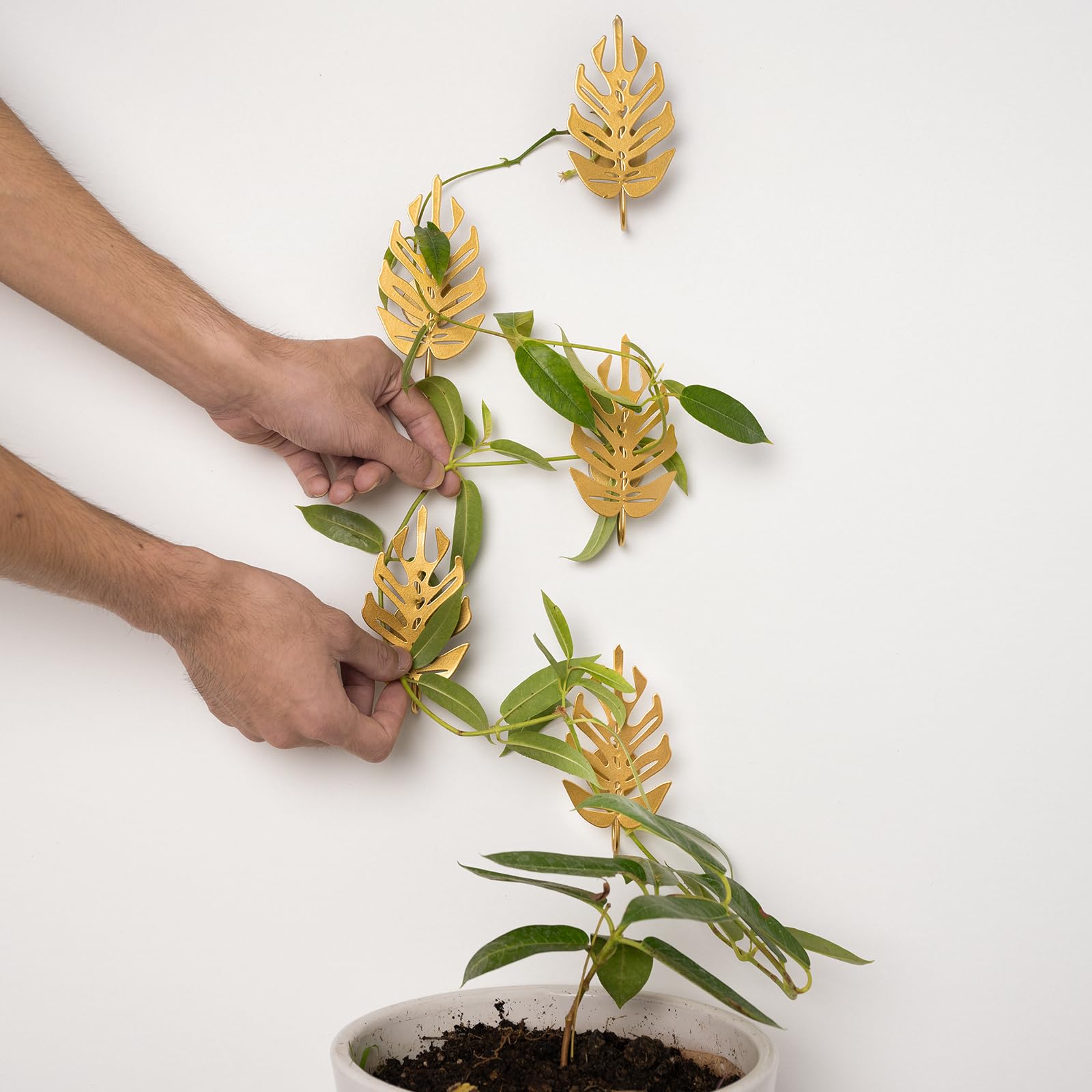 Goooxim pothos vine clip attachment supports stems gently.