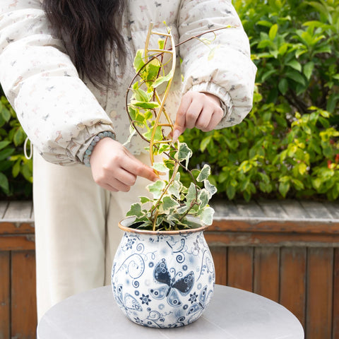 Goooxim potted plant spiral support guides vines toward light.