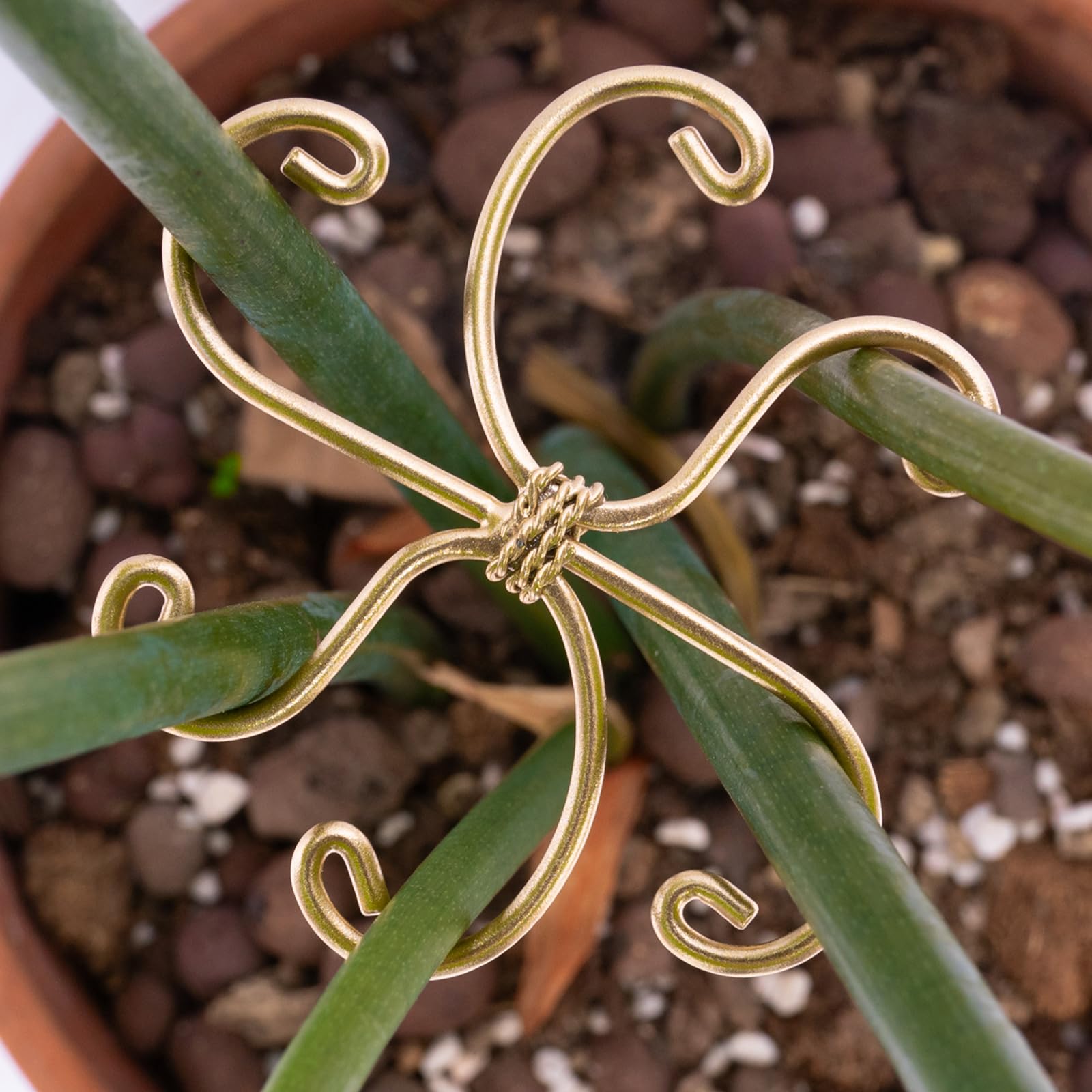 Goooxim soft-touch clips secure vines gently for Monstera and moss poles.