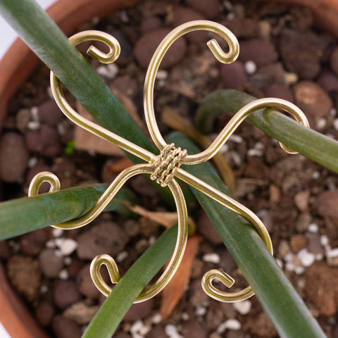 Goooxim soft-touch clips secure vines gently for Monstera and moss poles.