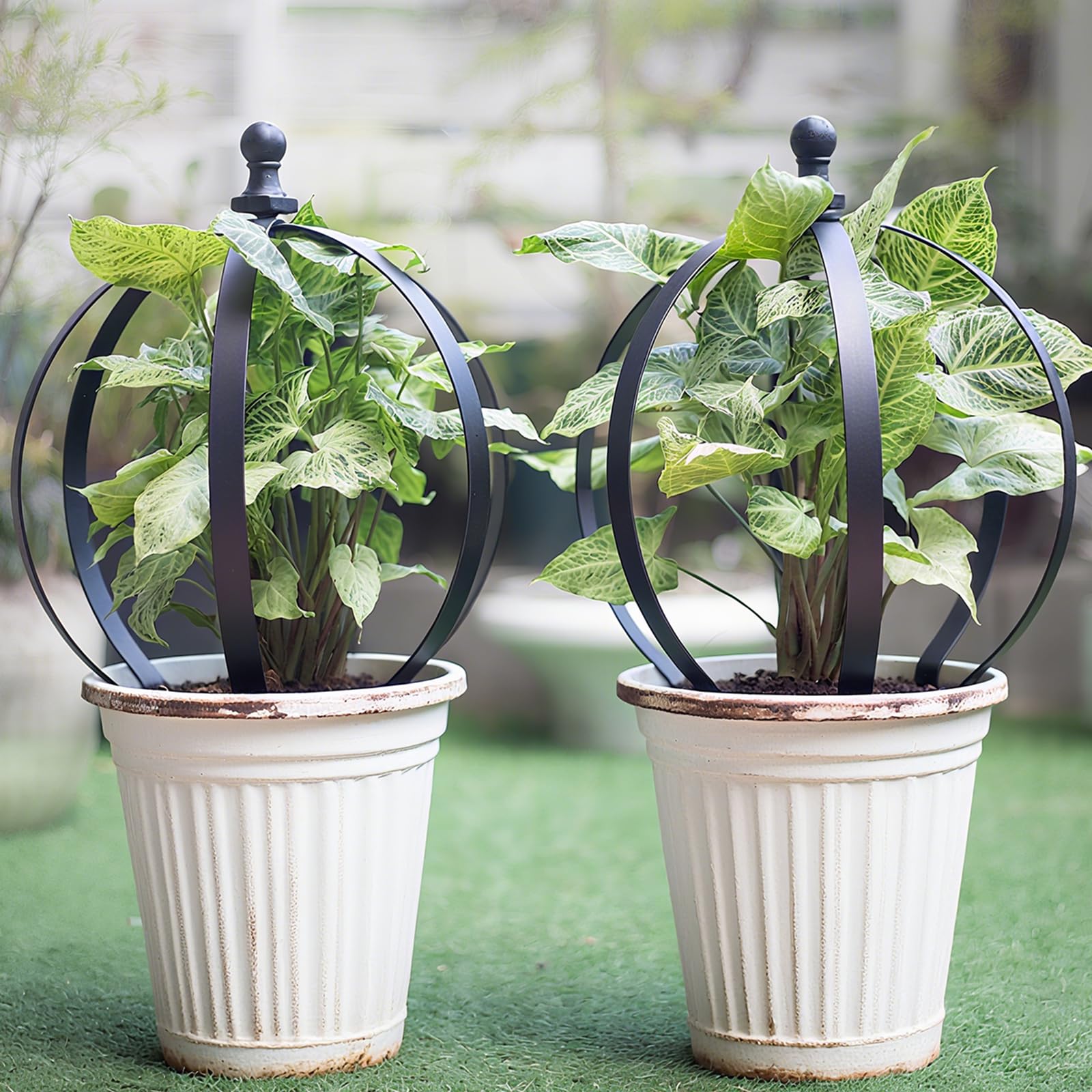 Goooxim versatile indoor-outdoor use supports various climbing plants.