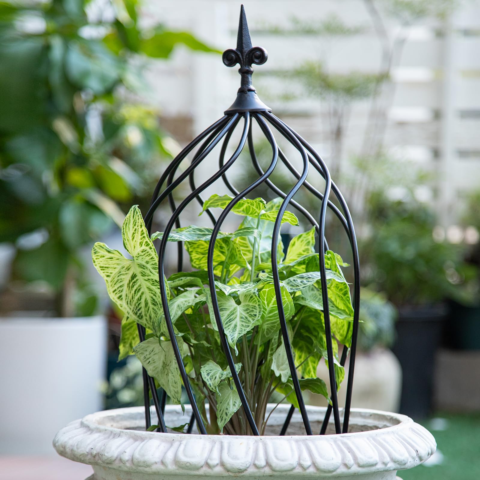 GOOOXIM wrought-iron trellis demonstrates durable garden support.