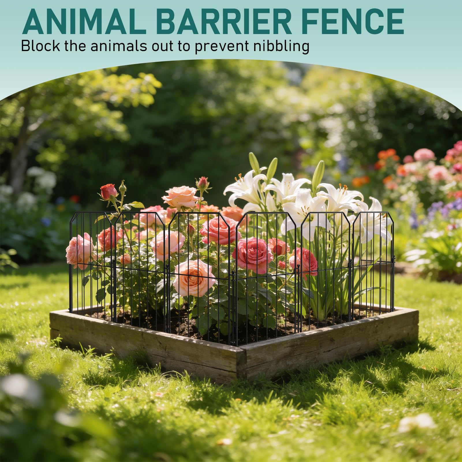 Goovilla 24-inch height provides a clear, practical boundary.