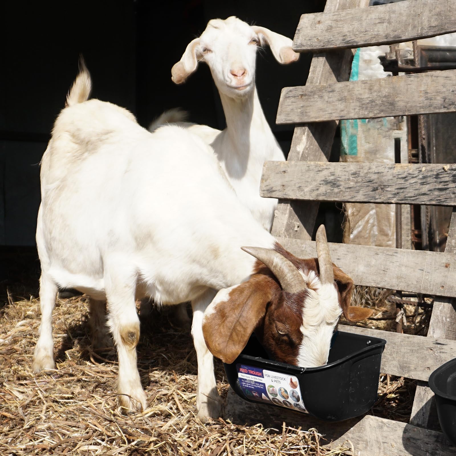 Goovilla no-waste spill-proof design reduces coop mess